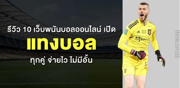 แทงบอล